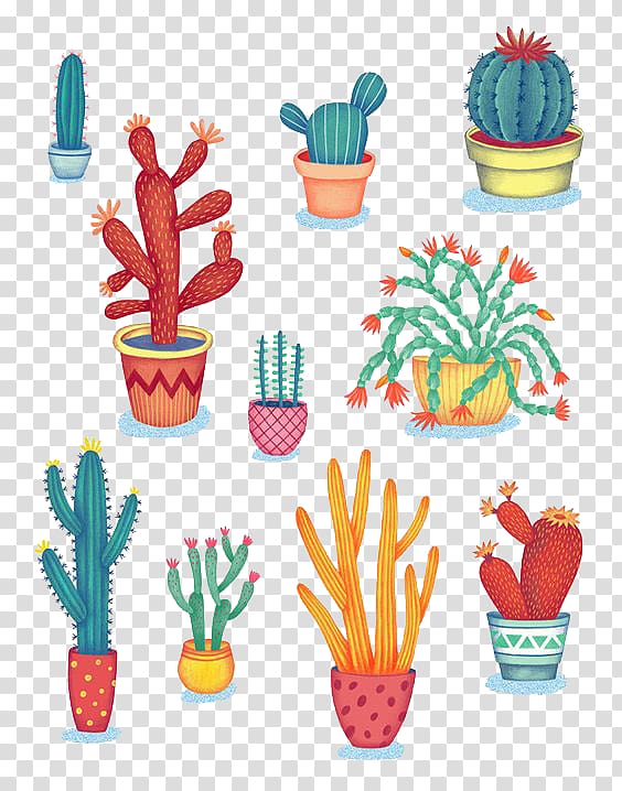 cactus illustrations, Cactaceae Succulent plant Drawing Illustration, Potted cactus transparent background PNG clipart