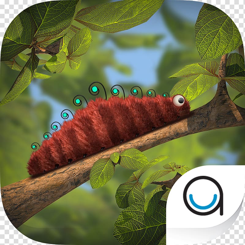 Caterpillar Mopane worm Fauna Ecosystem Leaf, caterpillar transparent background PNG clipart