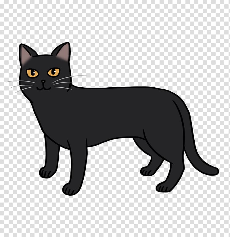 Manx cat American Wirehair Korat Black cat Kitten, kitten transparent background PNG clipart