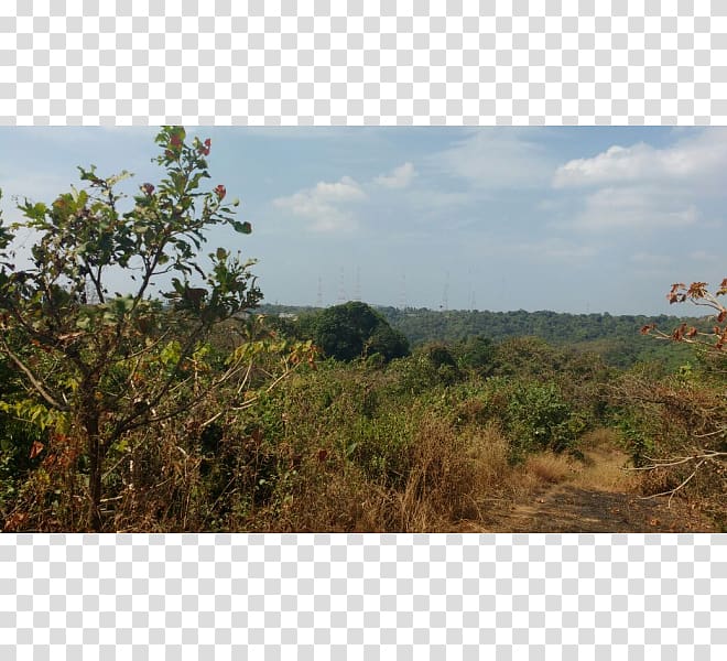 Goa Homes & Estates Land lot Moira, Goa Property Real Estate, plot for sale transparent background PNG clipart