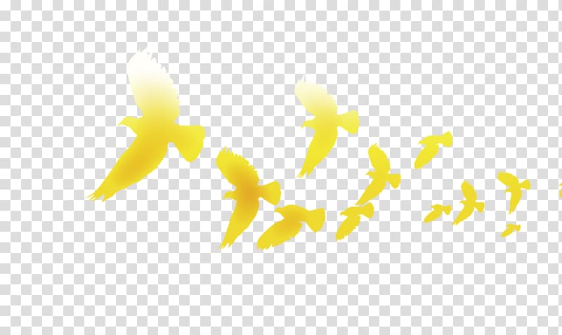 Columbidae Graphic design Yellow Columba, Flying Pigeons transparent background PNG clipart