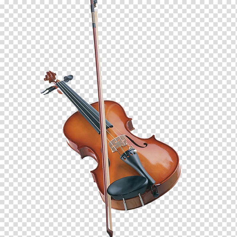 Bass violin Viola Double bass Violone, Decorative pattern musical elements transparent background PNG clipart