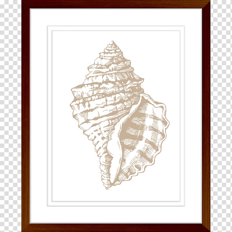 Seashell Art Printmaking Sandestin Craft, seashell transparent background PNG clipart