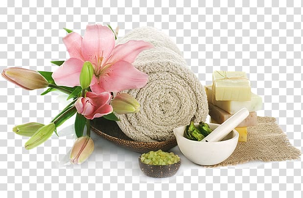 Day spa Beauty Parlour Waxing Facial, Nail transparent background PNG clipart
