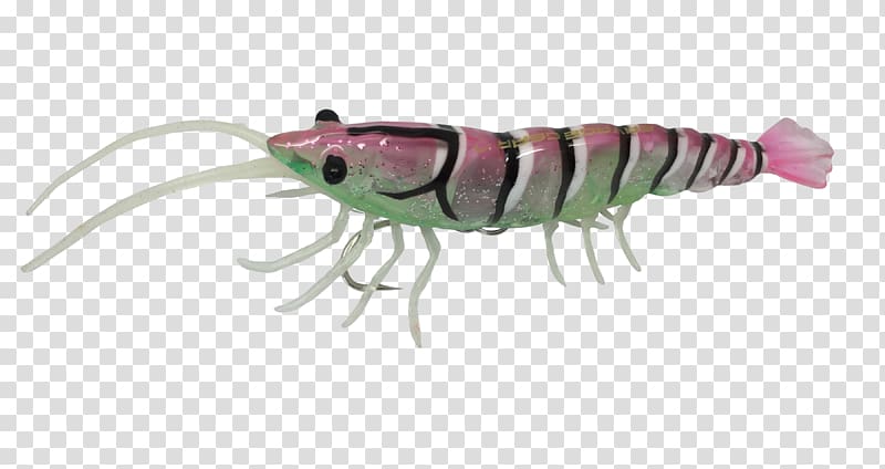 Krill Fishing bait Shrimp Gear, shrimp transparent background PNG clipart