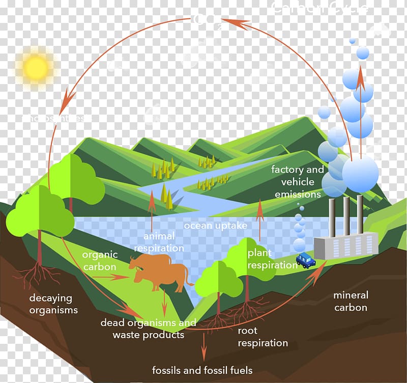 Carbon cycle Carbon dioxide Process, others transparent background PNG clipart