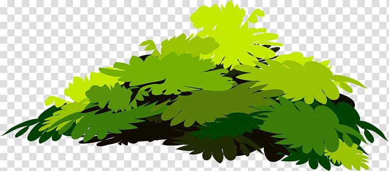 Tree Green Branch, Green leaves background transparent background PNG clipart