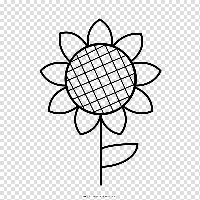 Coloring book Common sunflower Drawing Red sunflower, colore transparent background PNG clipart