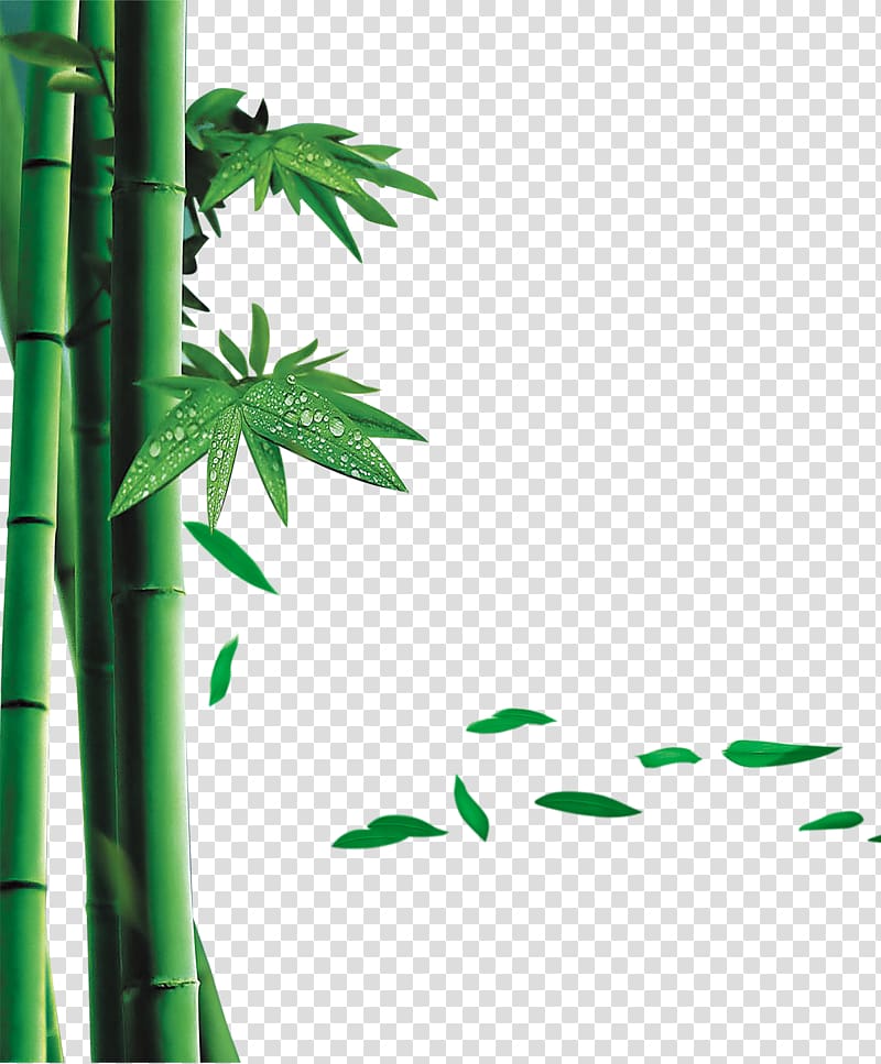 Zongzi u53f0u6e7eu7aefu5348u8282 Dragon Boat Festival Traditional Chinese holidays, Green Bamboo transparent background PNG clipart