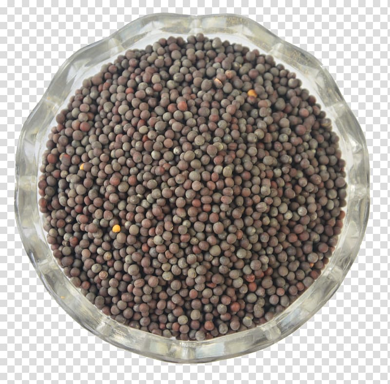 Sevruga caviar Spice Mustard seed Brassica nigra, mustard transparent background PNG clipart