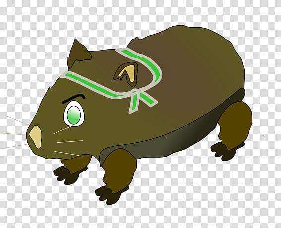 Wombat , Cartoonwombat transparent background PNG clipart