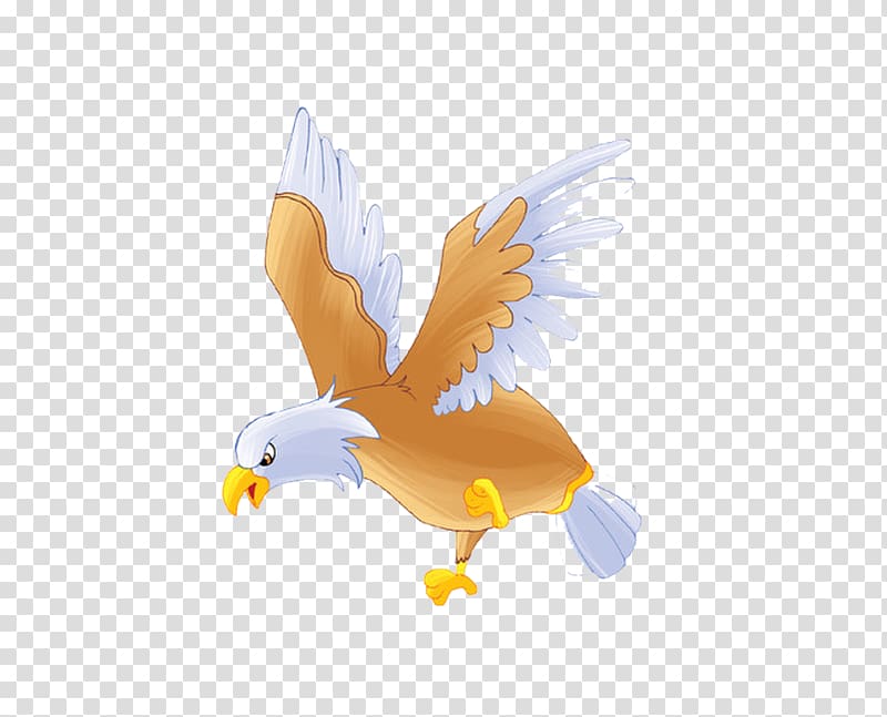 Bald Eagle Bird Hawk, eagle transparent background PNG clipart
