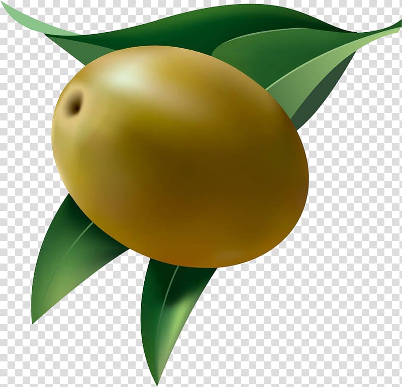 Fruit Olive , An olive transparent background PNG clipart