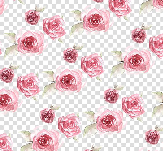 pink roses , Paper Rose Flower Pattern, Rose Print transparent background PNG clipart