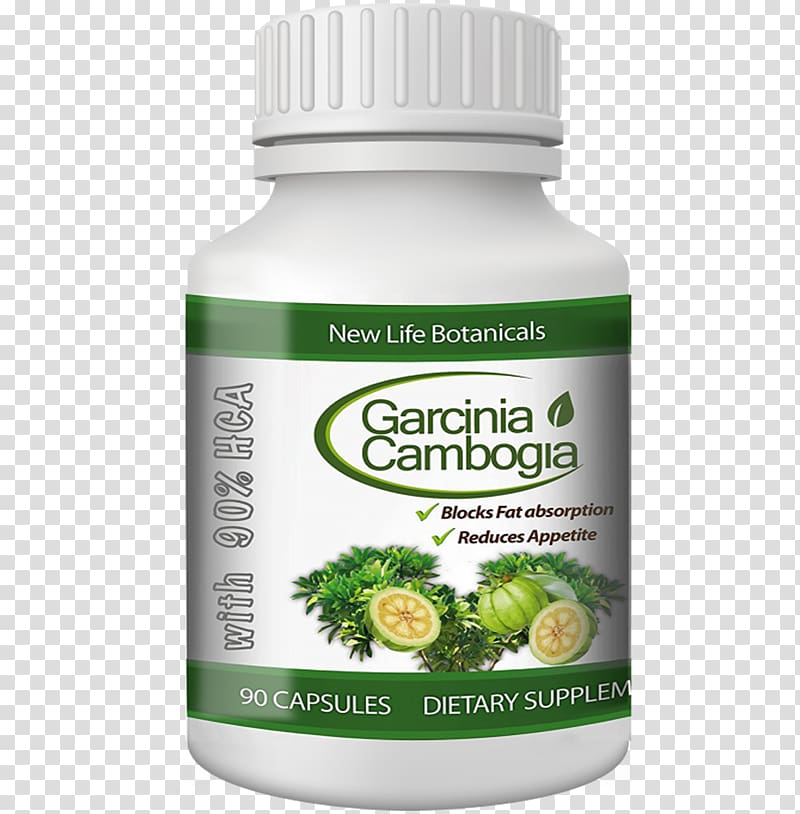 Garcinia gummi-gutta Dietary supplement Hydroxycitric acid Asam gelugur Garcinia indica, Garcinia Prainiana transparent background PNG clipart