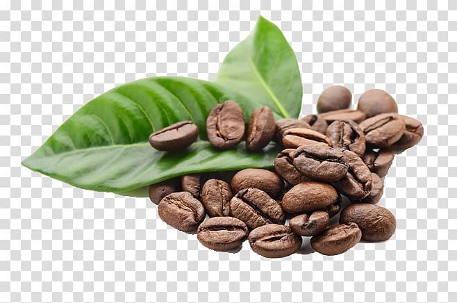 bunch of coffee beans , Kona coffee Espresso Tea Coffee bean, Leaves and coffee beans transparent background PNG clipart