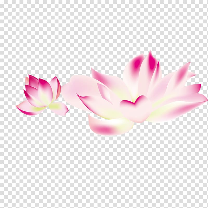 Flower , Lotus material transparent background PNG clipart