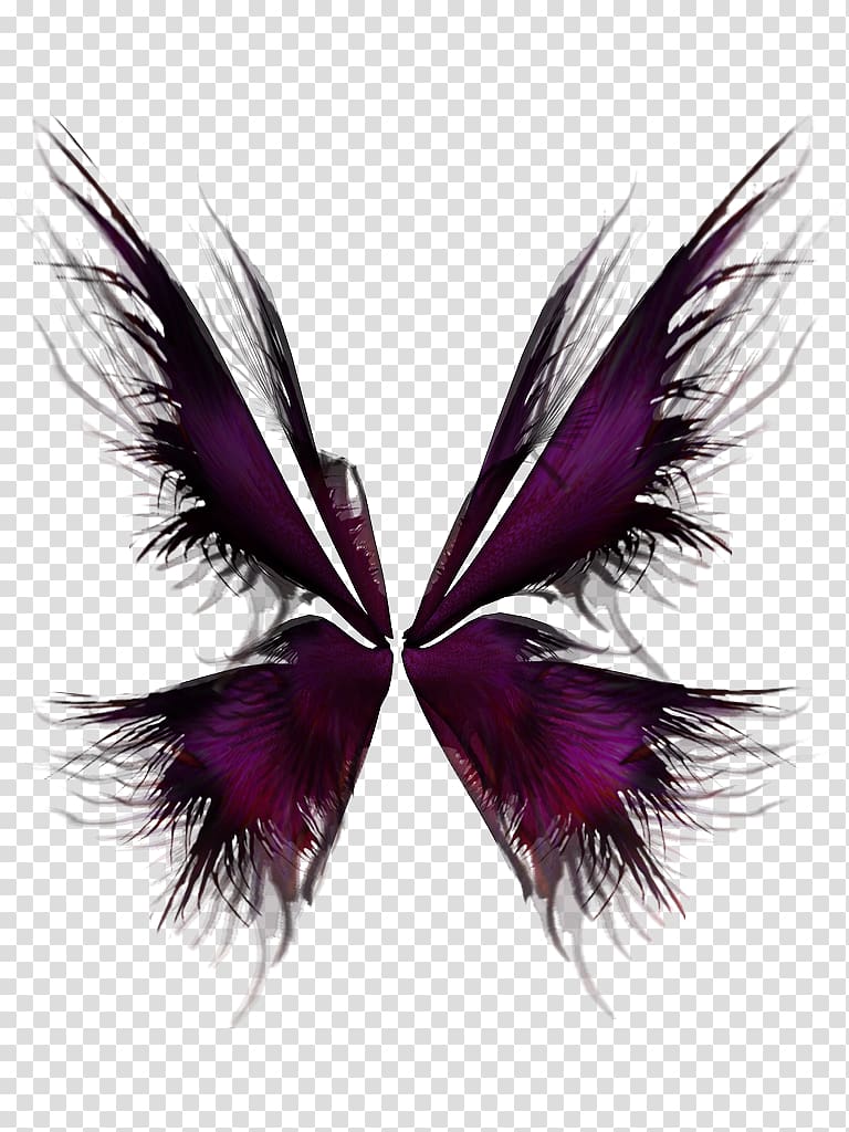 Wing Purple, Broken Wings transparent background PNG clipart