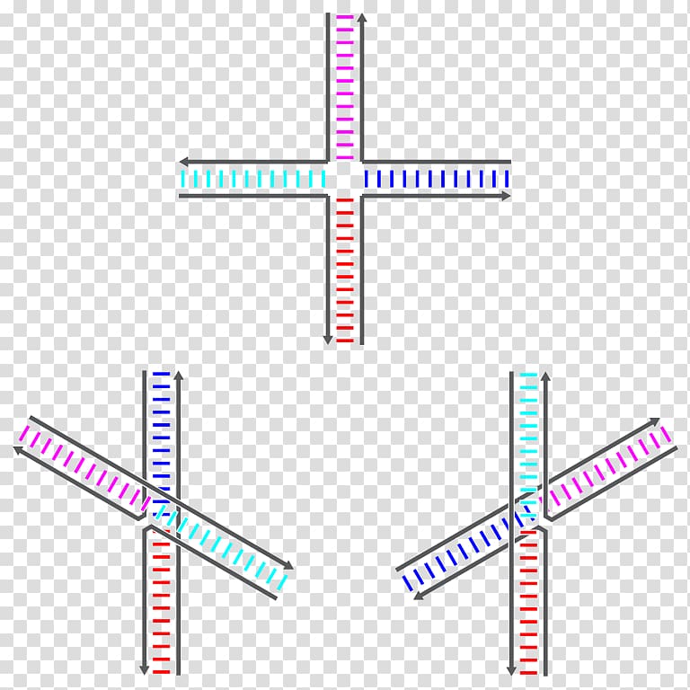 Holliday junction Nucleic acid sequence Genetic recombination DNA, Blue Junction transparent background PNG clipart