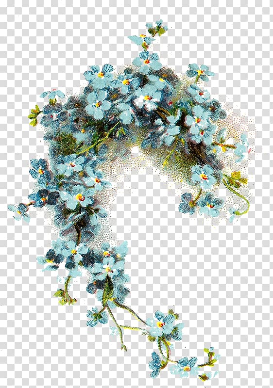 Myosotis stricta Flower , flower transparent background PNG clipart