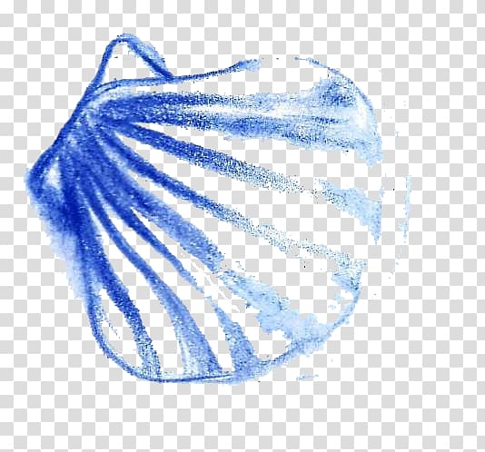 blue seashell art, Seashell Euclidean Sea snail Painting, shell transparent background PNG clipart