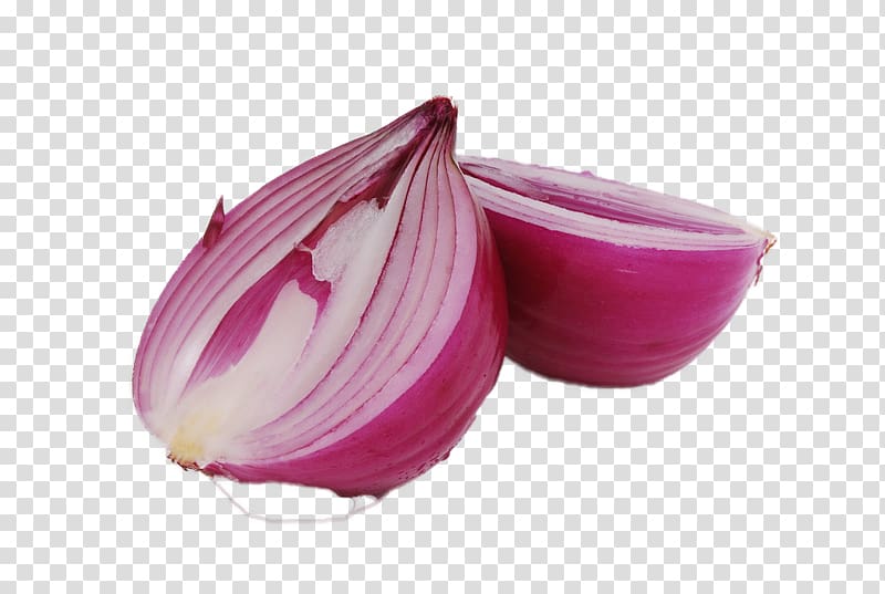 two slices of red onions, Onion Allium fistulosum Garlic Vegetable Food, Sliced ​​onion transparent background PNG clipart