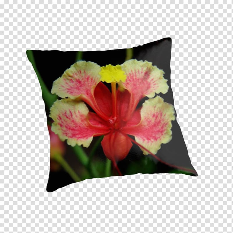 Throw Pillows Mallows Hibiscus Cushion Flower, peacock flower transparent background PNG clipart