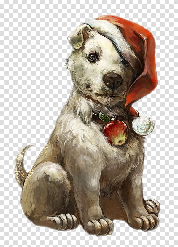Dog wearing Christmas hats transparent background PNG clipart