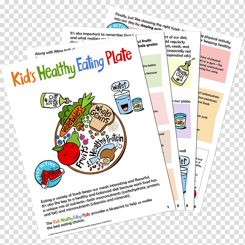 MyPlate Harvard T.H. Chan School of Public Health Healthy diet Nutrition, balanced diet transparent background PNG clipart