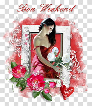 Garden roses Cut flowers Floral design, flower transparent background PNG clipart thumbnail