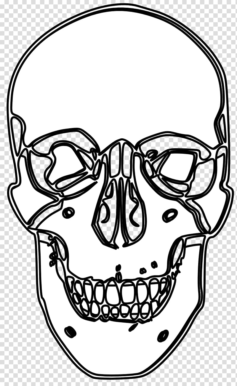 Black and white Calavera Visual arts Line art , Skull Line Art transparent background PNG clipart