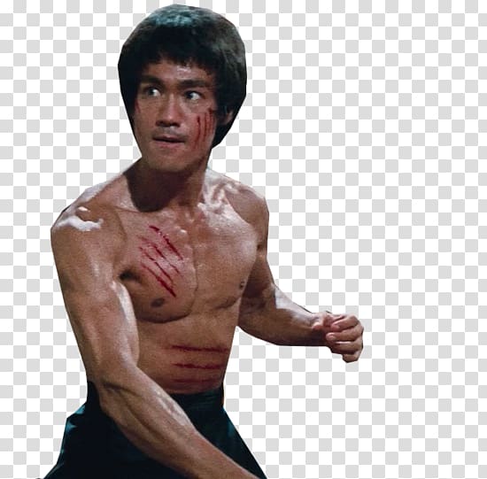 Bruce Lee illustration, Bruce Lee: Artist of Life, Bruce Lee transparent background PNG clipart