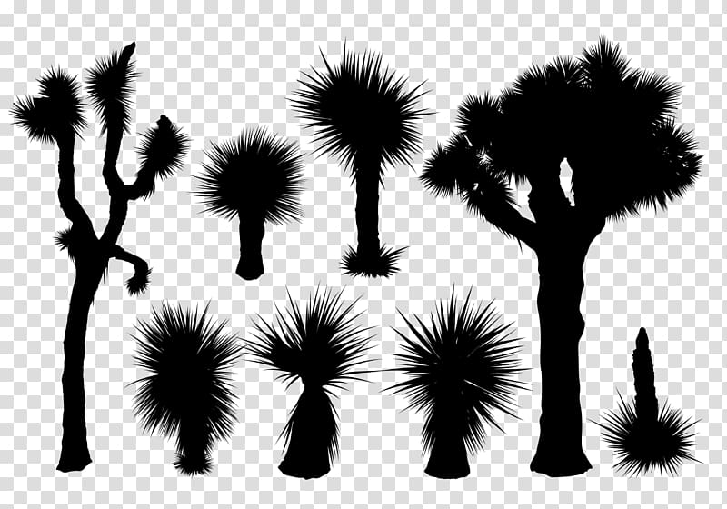 Silhouette , tropical leaves transparent background PNG clipart