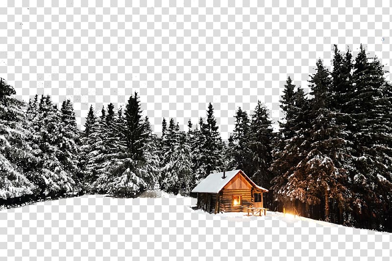 brown wooden house near woods, Log cabin Winter Chalet Cottage , Forest Chalet transparent background PNG clipart