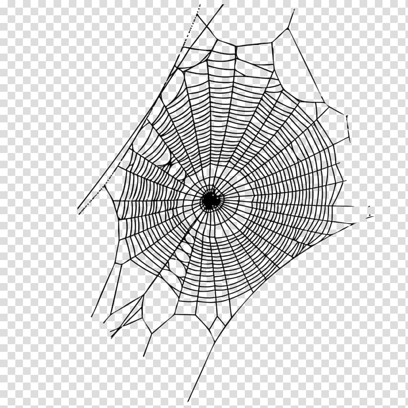 Spider web Spider silk Web page, spider transparent background PNG clipart