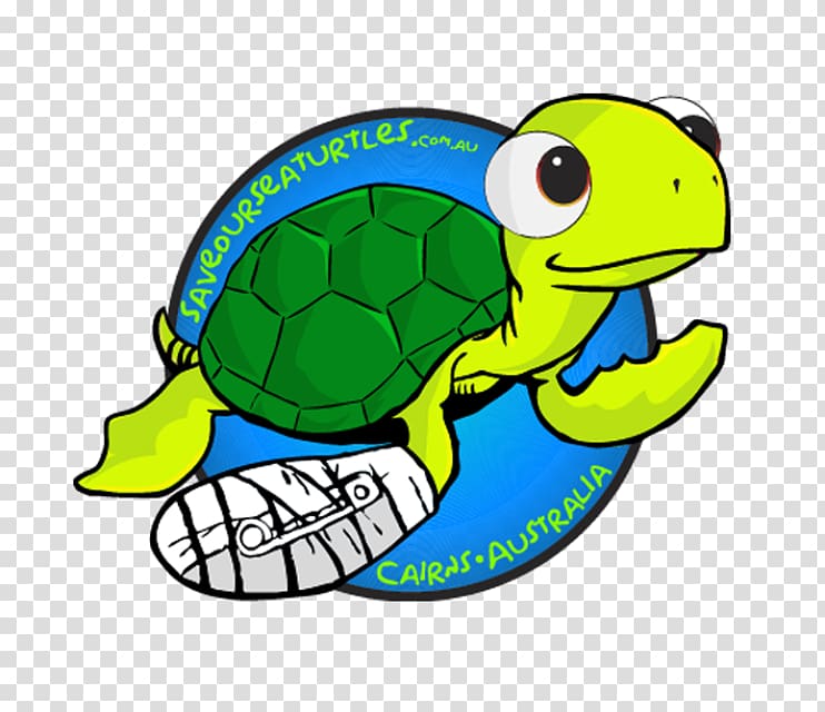 Great Barrier Reef Cairns Sea Turtle Conservancy Reptile, decals transparent background PNG clipart