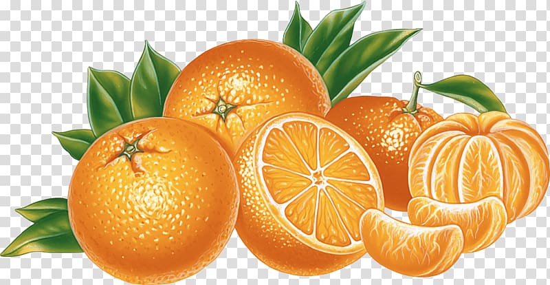sliced tangerines, Orange Illustration transparent background PNG clipart