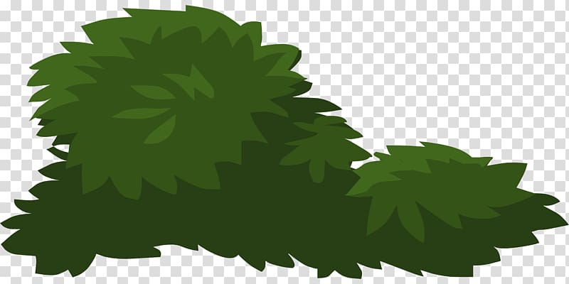 Shrub , green leaves transparent background PNG clipart