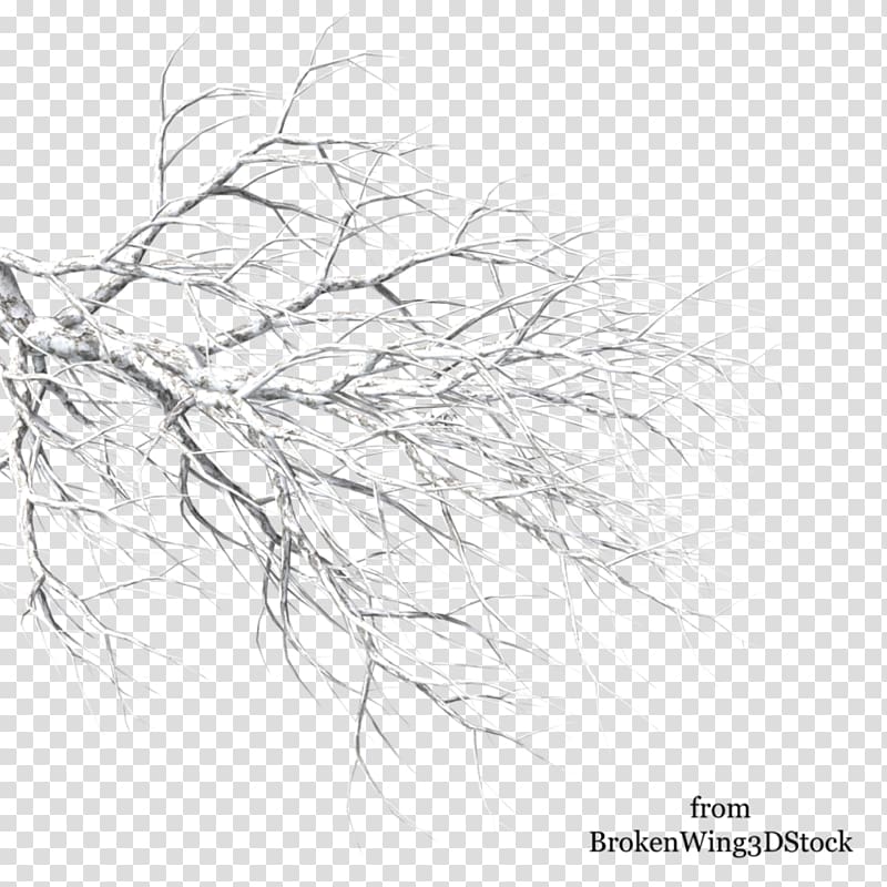 Tree Winter Branch Drawing, snow tree transparent background PNG clipart