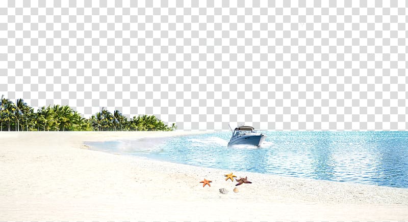 starfish and seashells on seashore in front of motorboat on blue body of water, Sandy Beach Ocean Beach , Beach sea background material transparent background PNG clipart