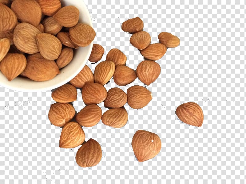almond nuts in and beside bowl, Hazelnut , crisp almond transparent background PNG clipart