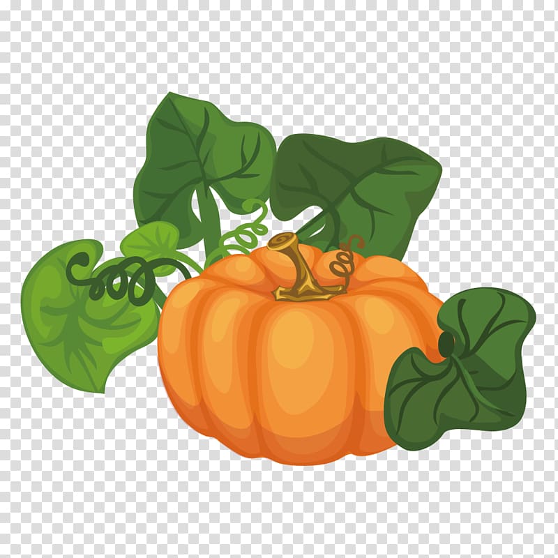 Pumpkin Calabaza Cucurbita maxima Gourd Illustration, pumpkin transparent background PNG clipart