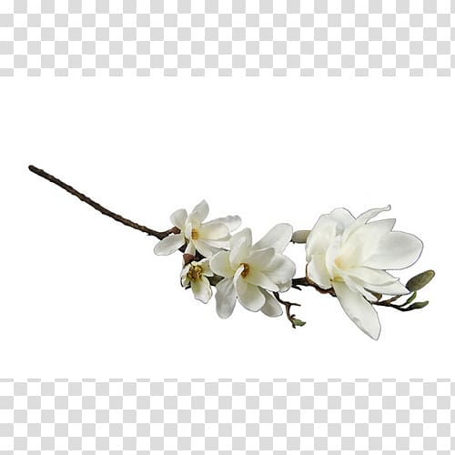 Cut flowers Vase Flower bouquet Flowering plant, white Magnolia transparent background PNG clipart