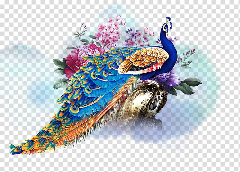 Graphic design, peacock transparent background PNG clipart