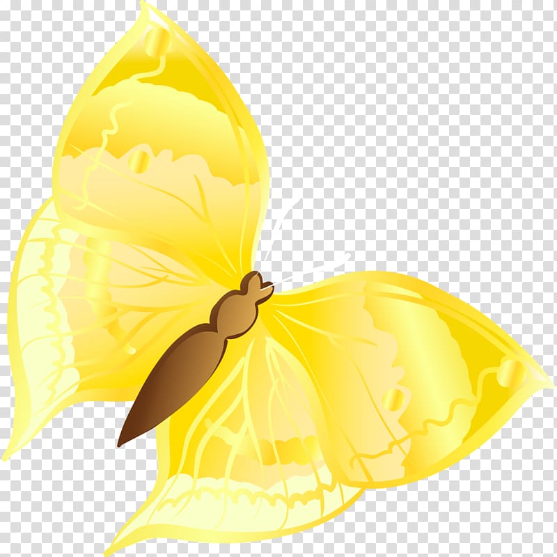 Cartoon Graphic design, Cartoon golden butterfly transparent background PNG clipart