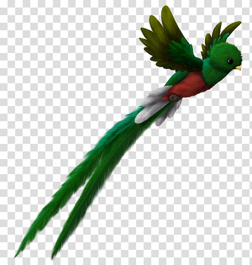 green bird illustration, El Quetzal Bird Maya civilization Resplendent quetzal Guatemalan quetzal, watercolor bird transparent background PNG clipart
