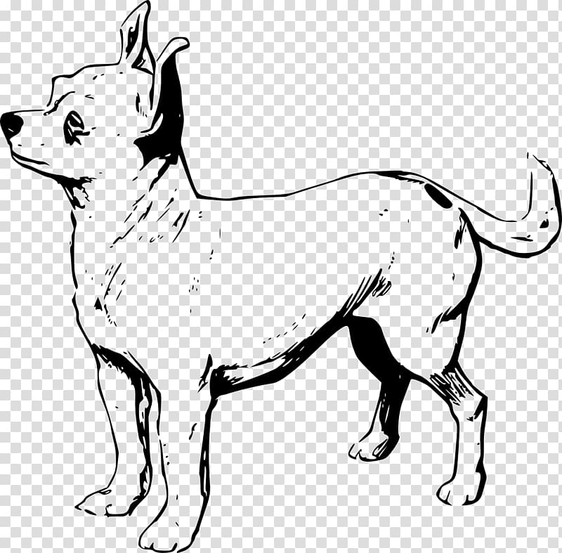 Chihuahua Puppy Line art Drawing , chihuahua transparent background PNG clipart