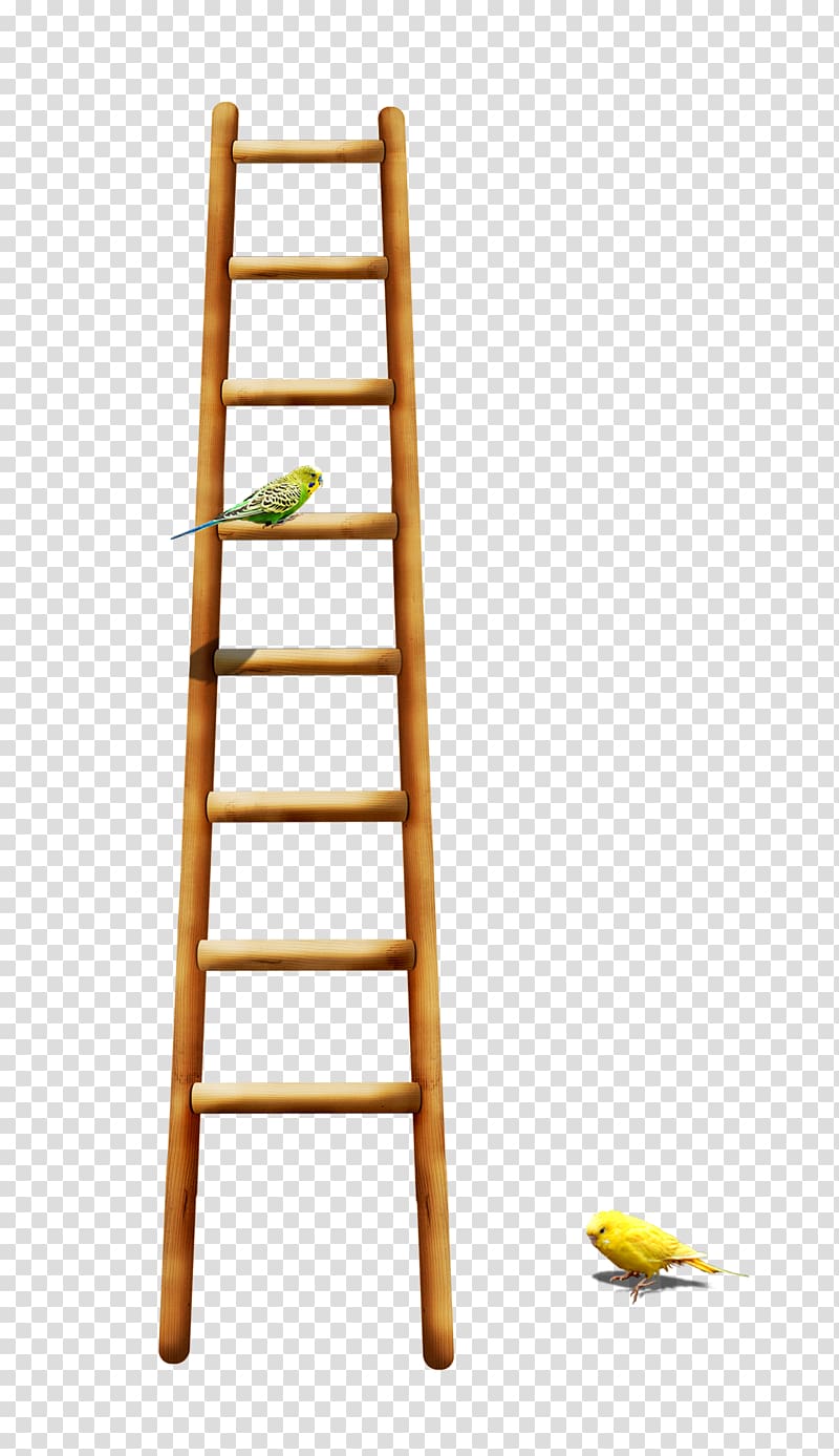 Bird Parrot Ladder, Bird on a ladder transparent background PNG clipart