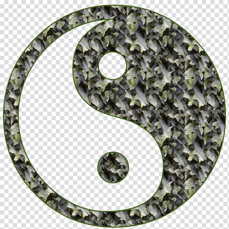Yin and yang Moxibustion Therapy Traditional Chinese medicine Health, yin yang transparent background PNG clipart