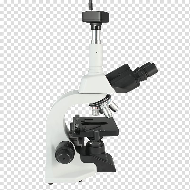 USB microscope Magnification Optics Optische Abbildung, microscope transparent background PNG clipart